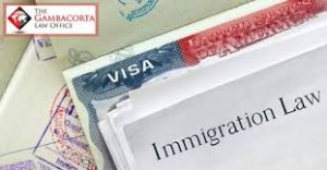 Immigration law and visa forms