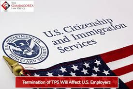 U.S. Citizenship and Immigration Services pamphlet and American flag